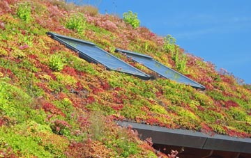 Stony Heath living roof systems